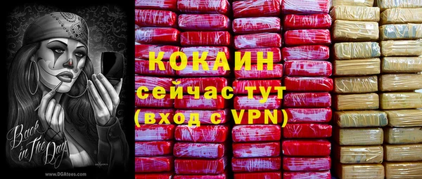 соль курить ск Белокуриха