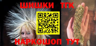 тгк Новодвинск