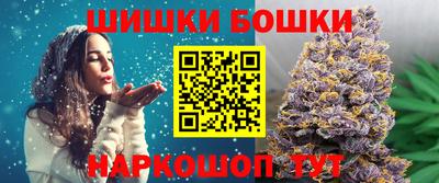 тгк Новодвинск