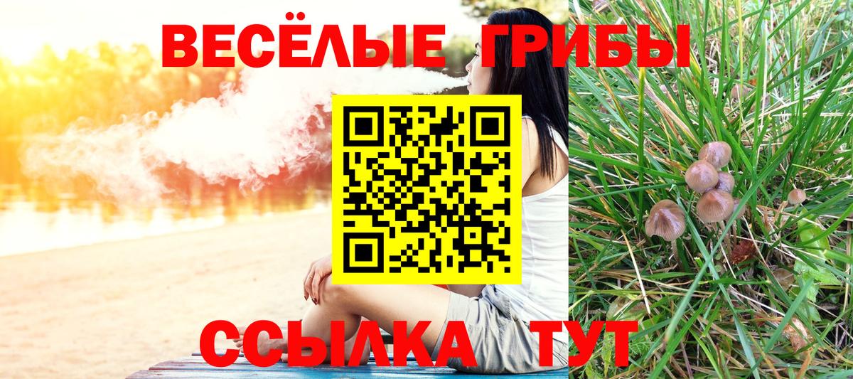 Псилоцибиновые грибы мухоморы  Вход с VPN  Сердобск 